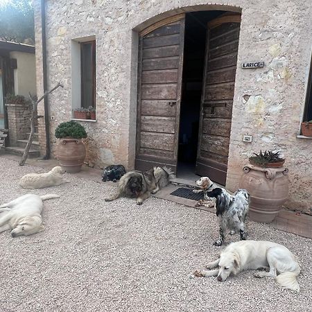Setterhouseagrihotel Trevi Bagian luar foto