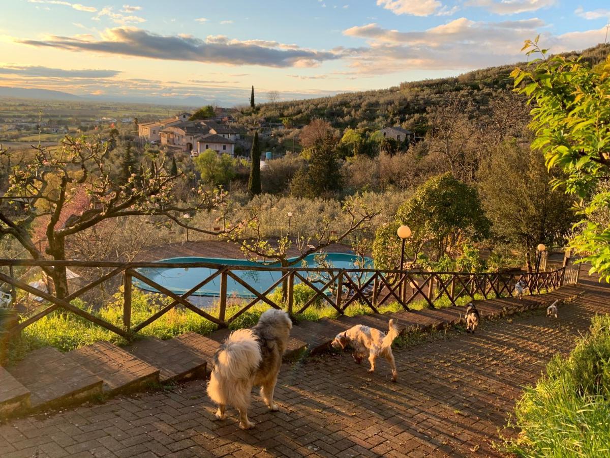 Setterhouseagrihotel Trevi Bagian luar foto