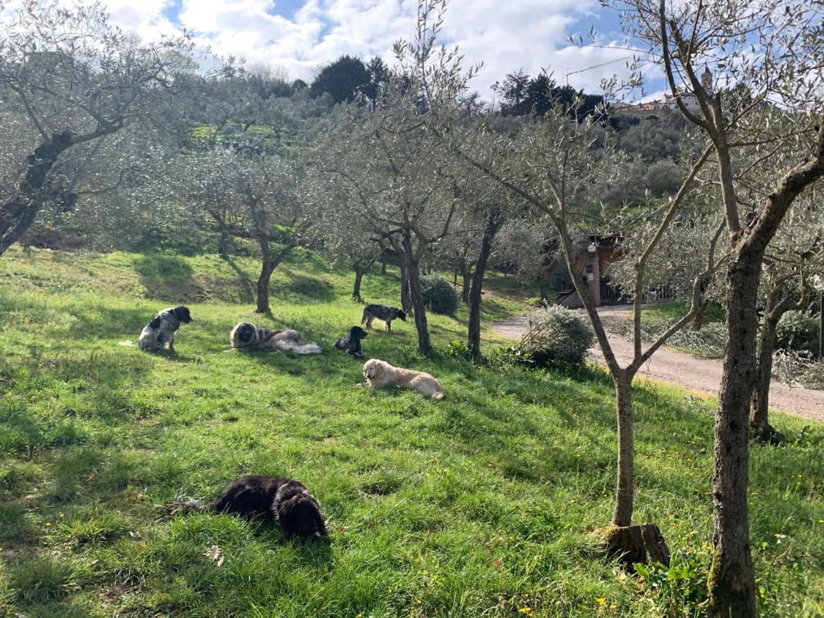 Setterhouseagrihotel Trevi Bagian luar foto