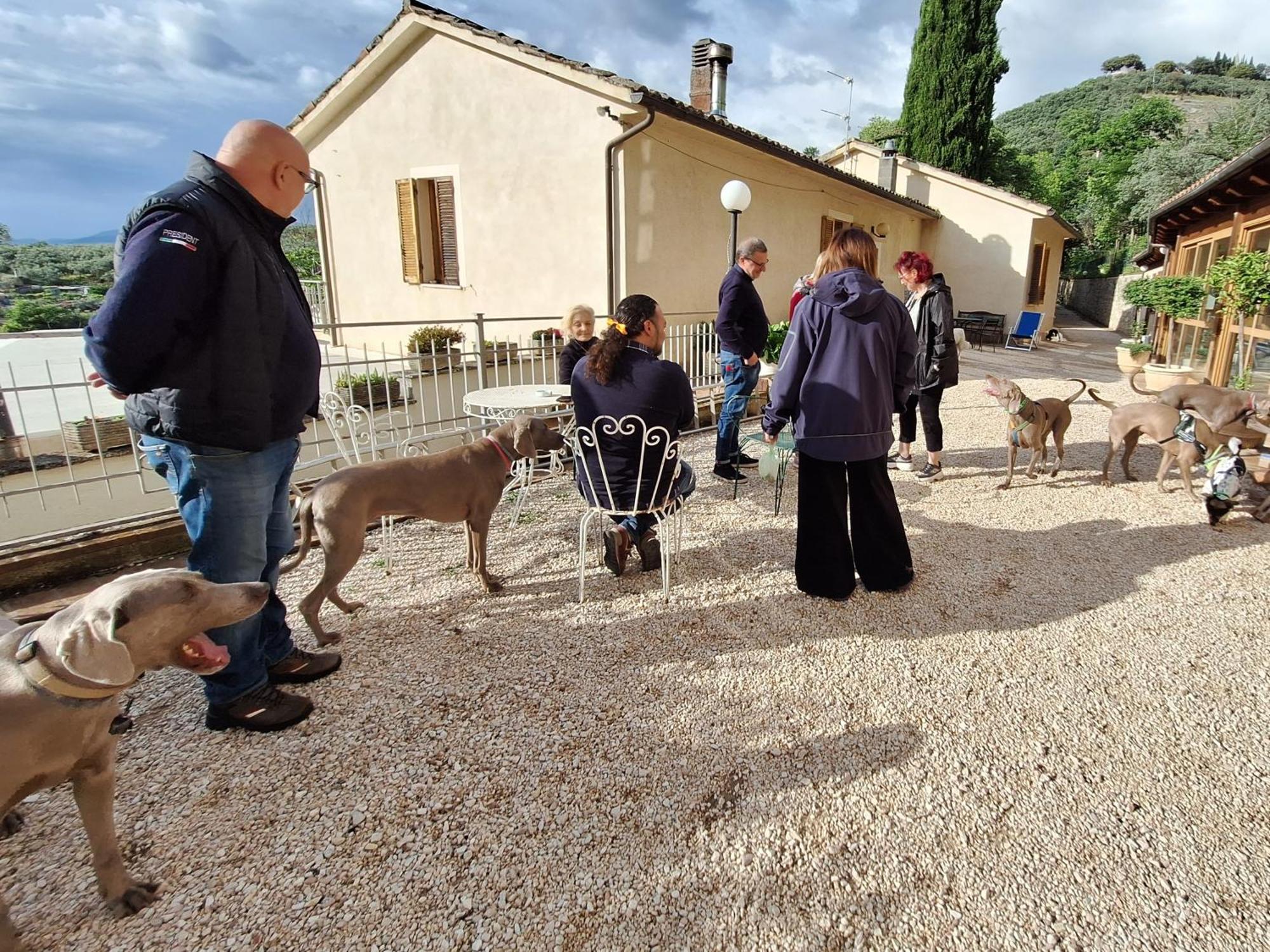 Setterhouseagrihotel Trevi Bagian luar foto