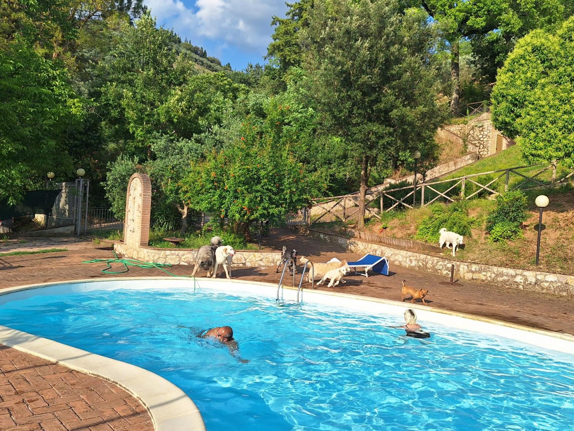 Setterhouseagrihotel Trevi Bagian luar foto