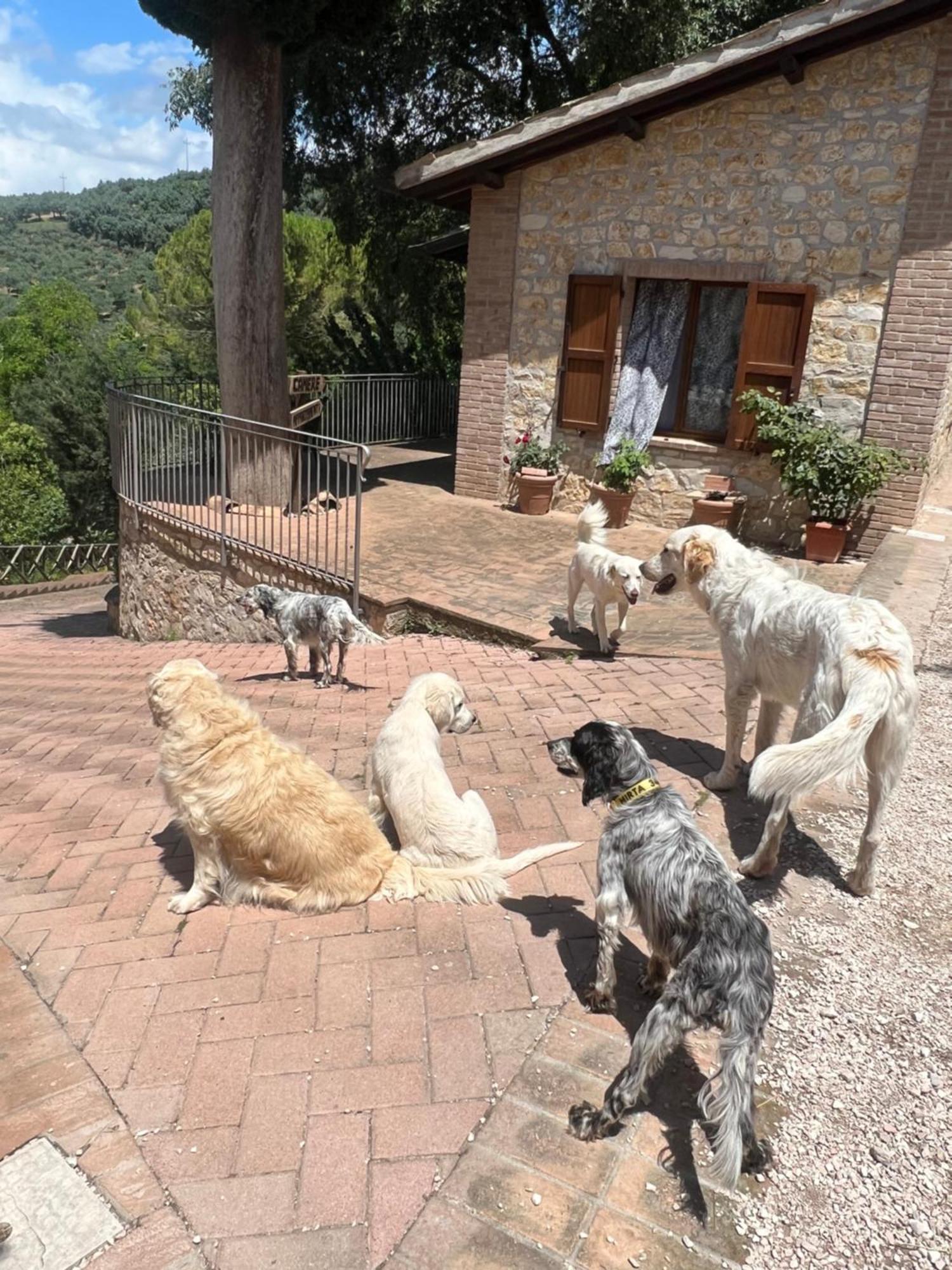 Setterhouseagrihotel Trevi Bagian luar foto