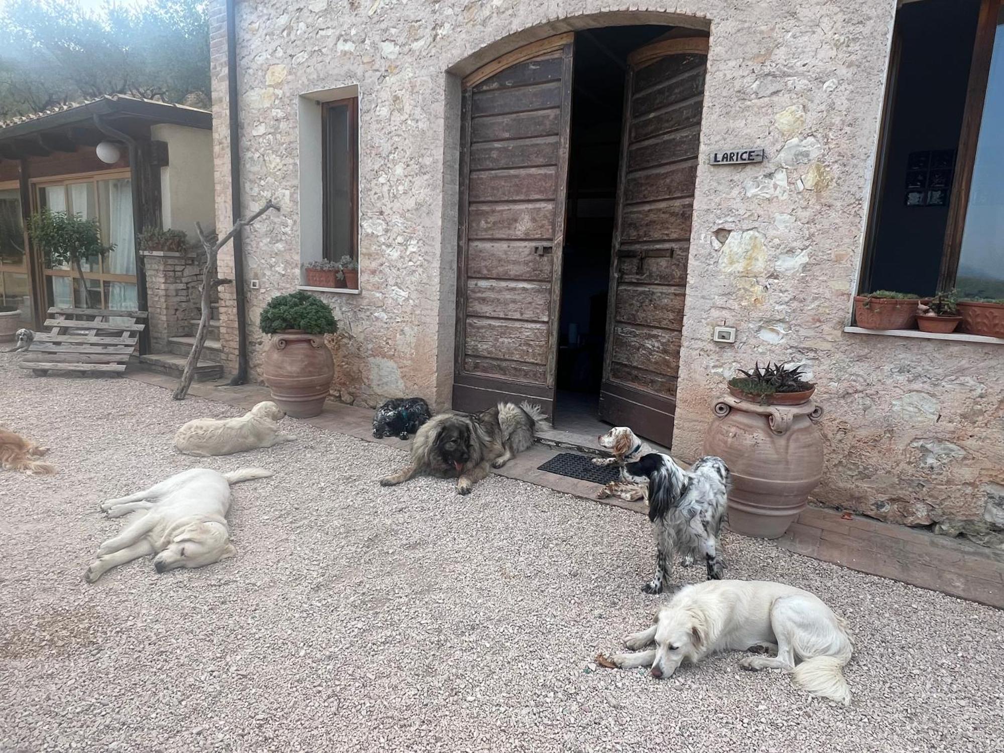Setterhouseagrihotel Trevi Bagian luar foto