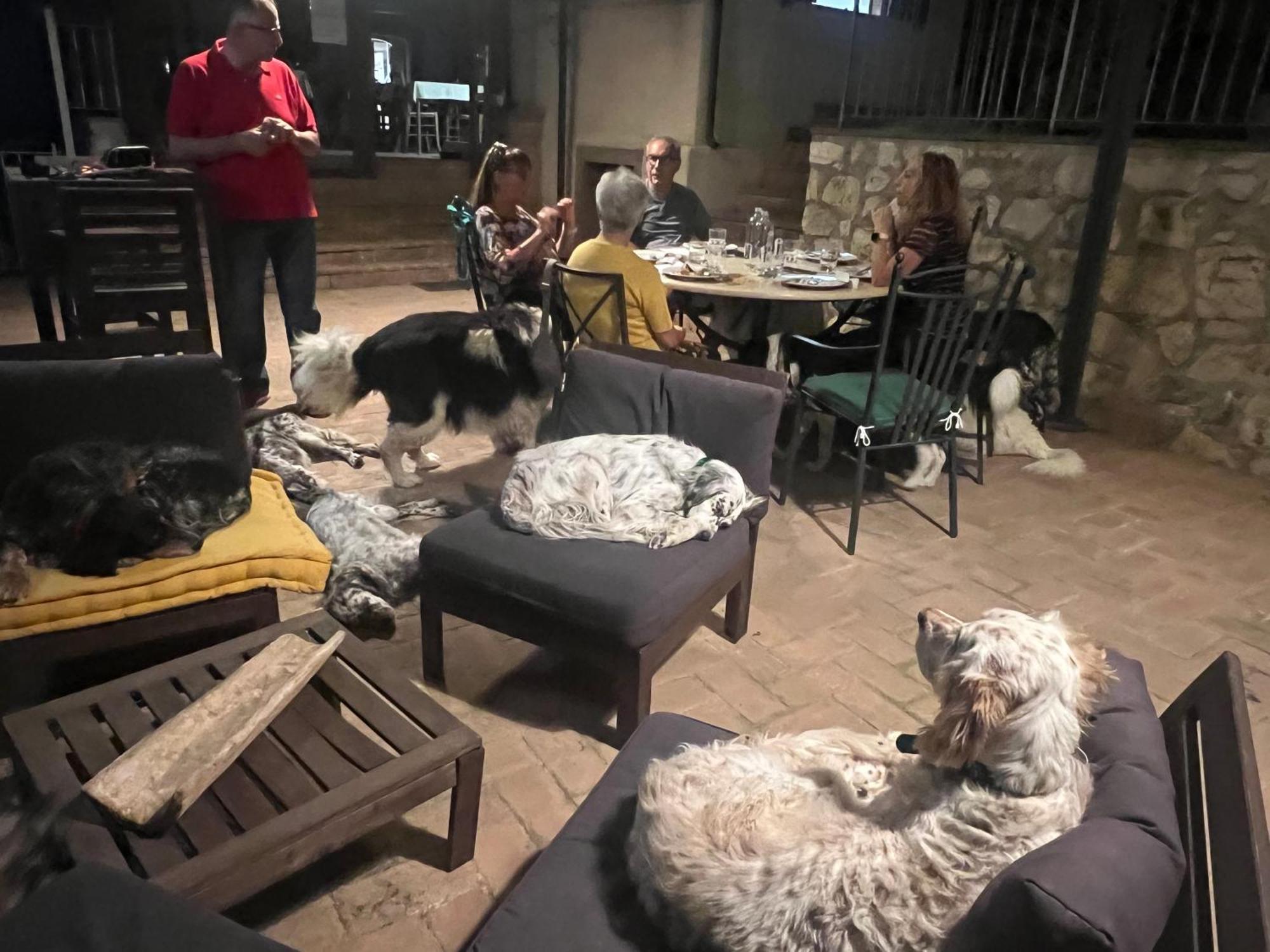 Setterhouseagrihotel Trevi Bagian luar foto