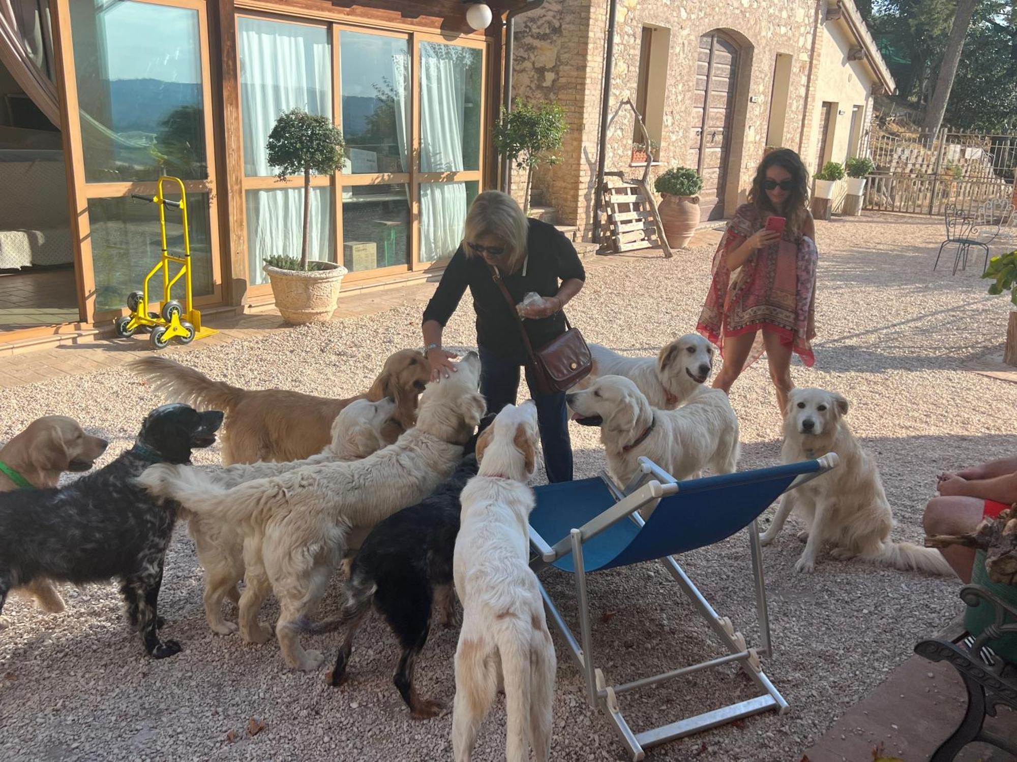 Setterhouseagrihotel Trevi Bagian luar foto