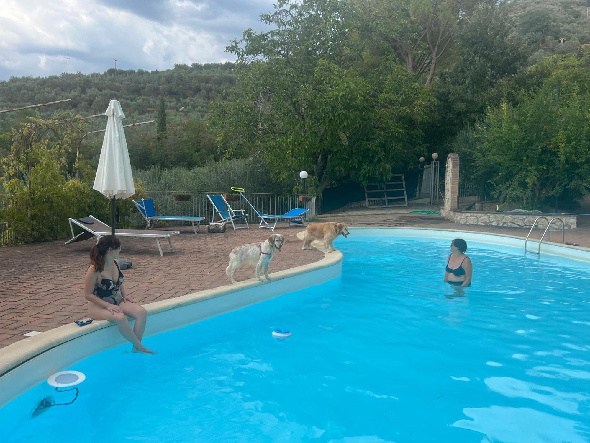 Setterhouseagrihotel Trevi Bagian luar foto